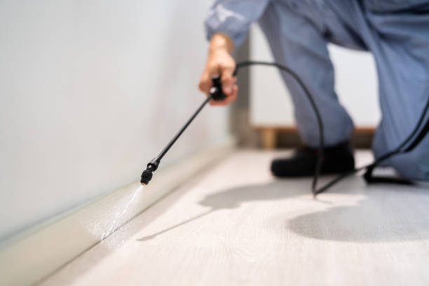 Licensed Mosquito Control service in Fresno, TX - Show Me Pest Control