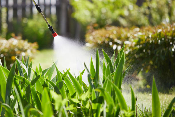 24/7 Emergency Mosquito Control experts in Fresno, TX